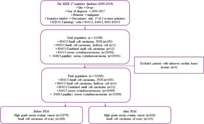 Prognosis comparison between small cell carcinoma of ovary and high-grade serous ovarian cancer: A retrospective observational cohort study